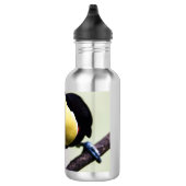 Costa Rica Edelstahlflasche (Rechts)