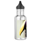 Costa Rica Edelstahlflasche (Links)