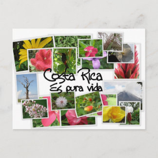 Costa Rica es Pura Vida! Postkarte