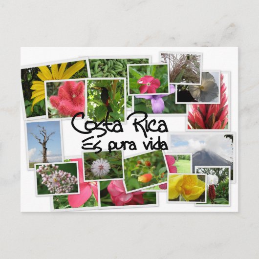 Costa Rica es Pura Vida! Postkarte (Vorderseite)