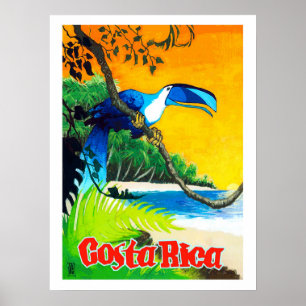 Costa Rica, exotischer Papagei am Strand, Vintage Poster