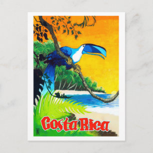 Costa Rica, exotischer Papagei am Strand, Vintage Postkarte