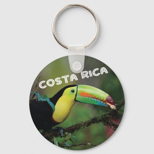 Costa Rica farbenfroher Toucan Bird Schlüsselanhänger (Vorderseite)