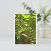 Costa Rica Farbmuster Postkarte (Stehend Vorderseite)