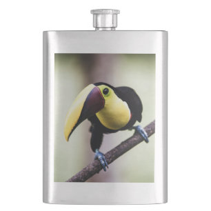 Costa Rica Flachmann