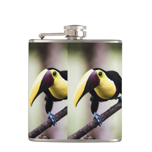 Costa Rica Flachmann (Vorderseite)