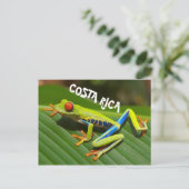 Costa Rica Foto des mit Augen Rothaubs Postkarte (Stehend Vorderseite)