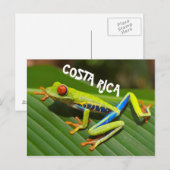Costa Rica Foto des mit Augen Rothaubs Postkarte (Vorne/Hinten)