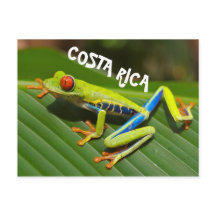 Costa Rica Foto des mit Augen Rothaubs
