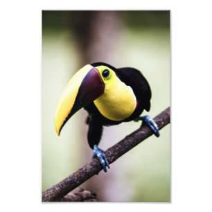 Costa Rica Fotodruck