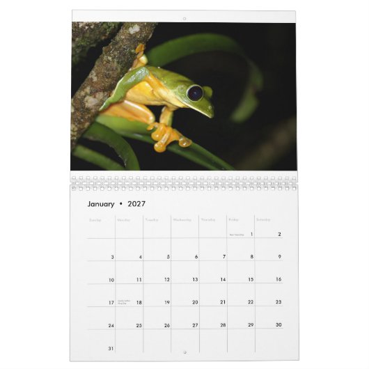 Costa Rica-Frosch-Kalender Kalender (Jan 2027)