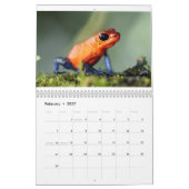 Costa Rica-Frosch-Kalender Kalender (Feb 2027)