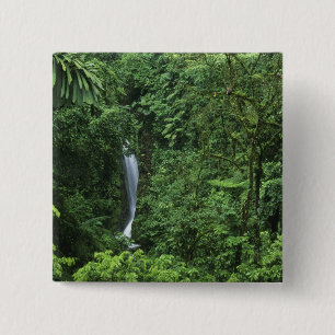 Costa Rica, Gebiet des Arenal Vulkans, Hängebrücke Button