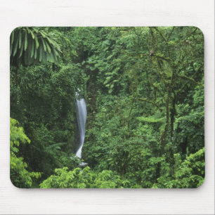 Costa Rica, Gebiet des Arenal Vulkans, Hängebrücke Mousepad