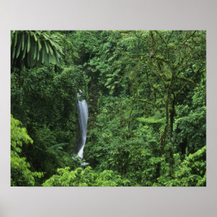 Costa Rica, Gebiet des Arenal Vulkans, Hängebrücke Poster