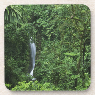 Costa Rica, Gebiet des Arenal Vulkans, Hängebrücke Untersetzer