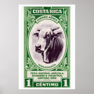 Costa Rica Gehörnter Kuh Kunst Druck, Vintage Post Poster