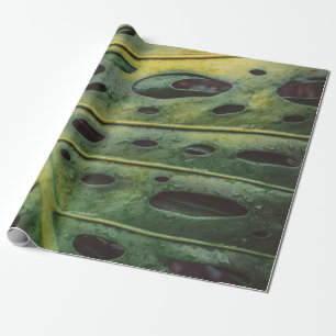 Costa rica geschenkpapier