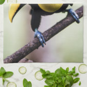 Costa Rica Geschirrtuch (Gefaltet)