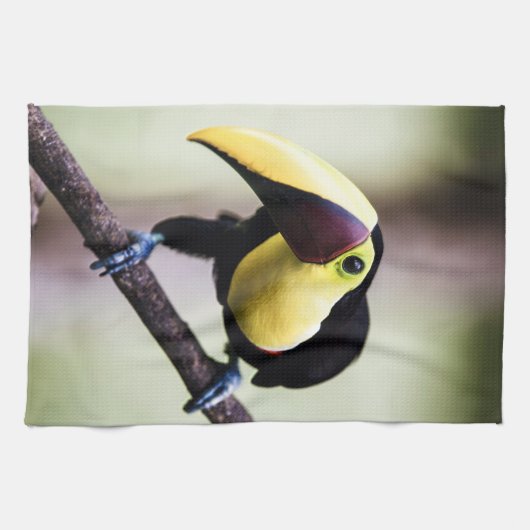 Costa Rica Geschirrtuch (Horizontal)