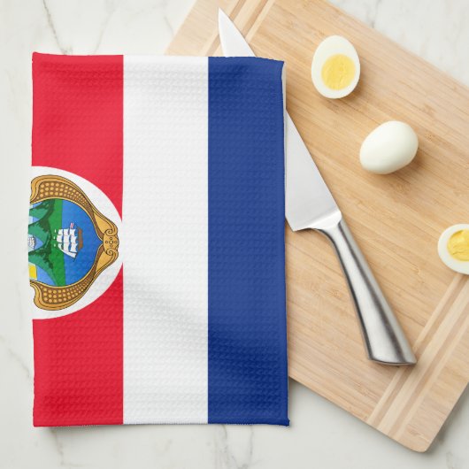 Costa Rica Geschirrtuch (Viertel Falte)