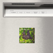 Costa Rica - glückliche Trägheit Magnet (In Situ (Geschirrspüler))