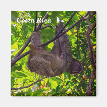 Costa Rica - glückliche Trägheit