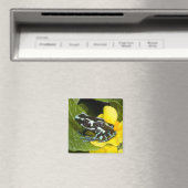 Costa Rica, Halbinsel Osa Magnet (In Situ (Geschirrspüler))