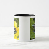 Costa Rica, Halbinsel Osa Tasse (Zentrum)