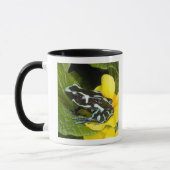 Costa Rica, Halbinsel Osa Tasse (Links)