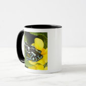 Costa Rica, Halbinsel Osa Tasse (Vorderseite Links)