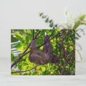 Costa Rica - Happy Lazy Sloth, Antonio Manuel NP Einladung (Stehend Vorderseite)