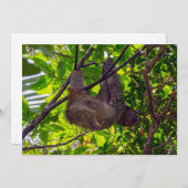 Costa Rica - Happy Lazy Sloth, Antonio Manuel NP Einladung (Vorne/Hinten)