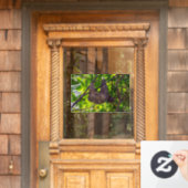 Costa Rica - Happy Lazy Sloth, Antonio Manuel NP Fensteraufkleber (Haustür)