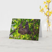 Costa Rica - Happy Lazy Sloth, Antonio Manuel NP Karte (Gelbe Blume)