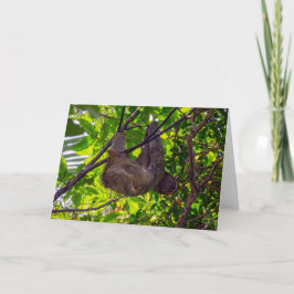 Costa Rica - Happy Lazy Sloth, Antonio Manuel NP Karte