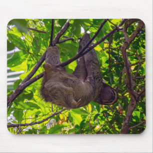 Costa Rica - Happy Lazy Sloth, Antonio Manuel NP Mousepad