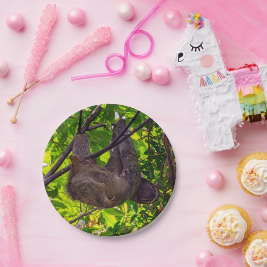 Costa Rica - Happy Lazy Sloth, Antonio Manuel NP Pappteller (Party)