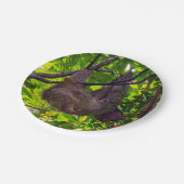 Costa Rica - Happy Lazy Sloth, Antonio Manuel NP Pappteller (Schrägansicht)