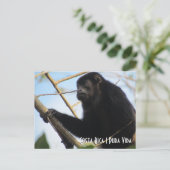 Costa Rica Howler Monkey Postkarte (Stehend Vorderseite)