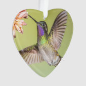 Costa Rica Hummingbird Flug zu einer Blume Ornament (Vorderseite)