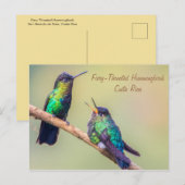 Costa Rica Hummingbirds Postkarte (Vorne/Hinten)
