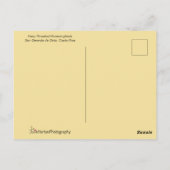 Costa Rica Hummingbirds Postkarte (Rückseite)