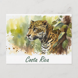 Costa Rica Jaguar Postkarte