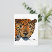 Costa Rica Jaguar Postkarte (Stehend Vorderseite)