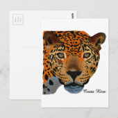 Costa Rica Jaguar Postkarte (Vorne/Hinten)