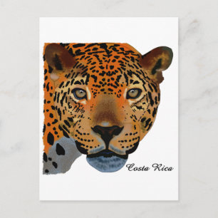Costa Rica Jaguar Postkarte