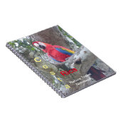 Costa Rica Jungle Bird ReiseNotebook Notizblock (Rechte Seite)