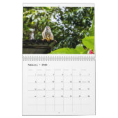 Costa Rica Kalender (Feb 2026)