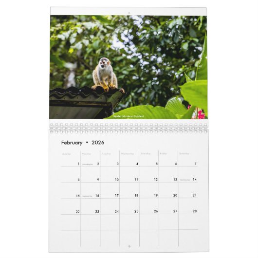 Costa Rica Kalender (Feb 2026)